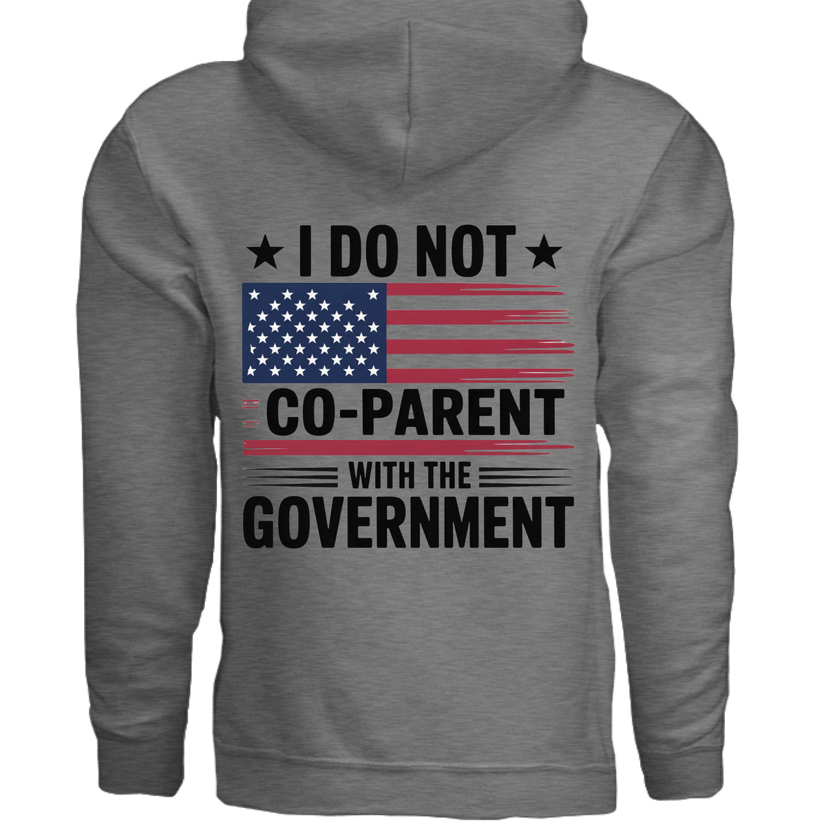 Graphite Heather I Do Not Co-Parent With the Government Front & Back Hoodie, back view