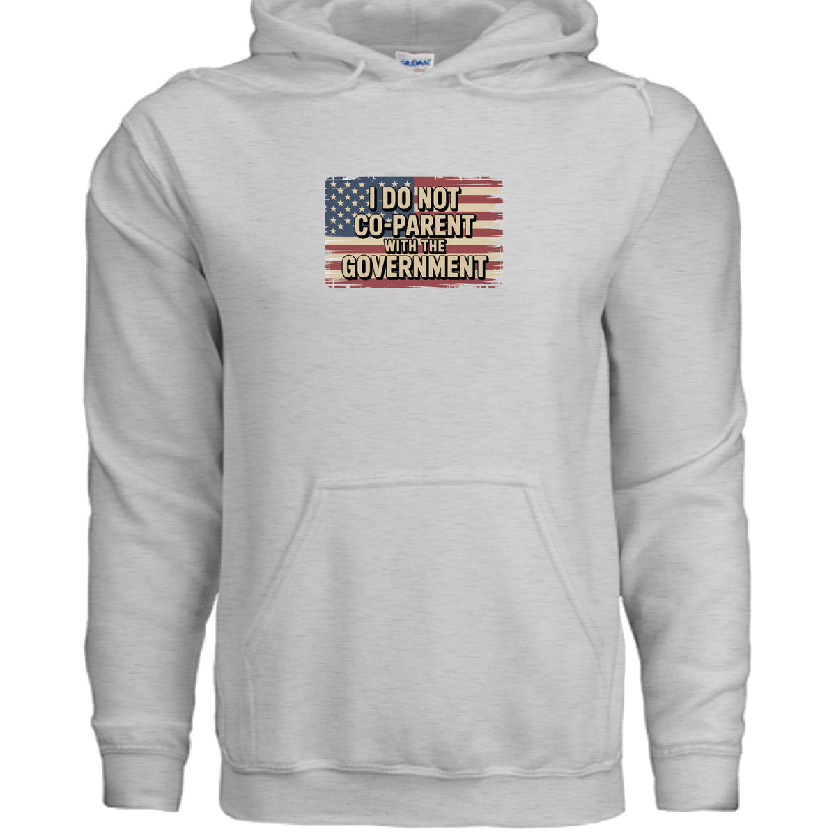 Ash I Do Not Co-Parent With the Government Front & Back Hoodie, front view