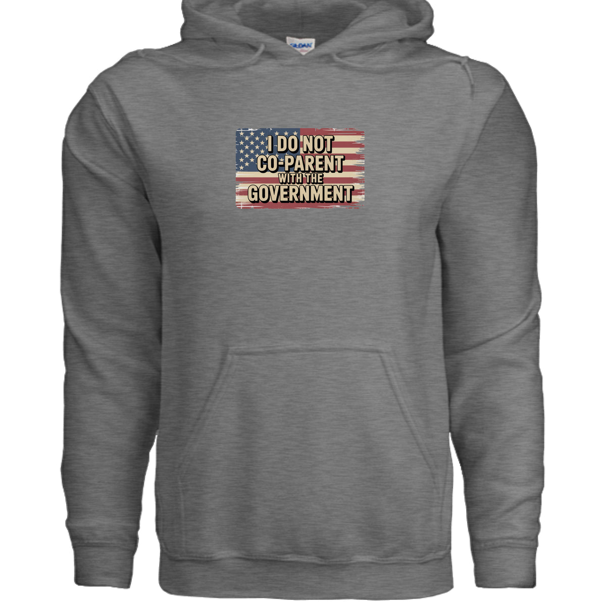 Graphite Heather I Do Not Co-Parent With the Government Front & Back Hoodie, front view