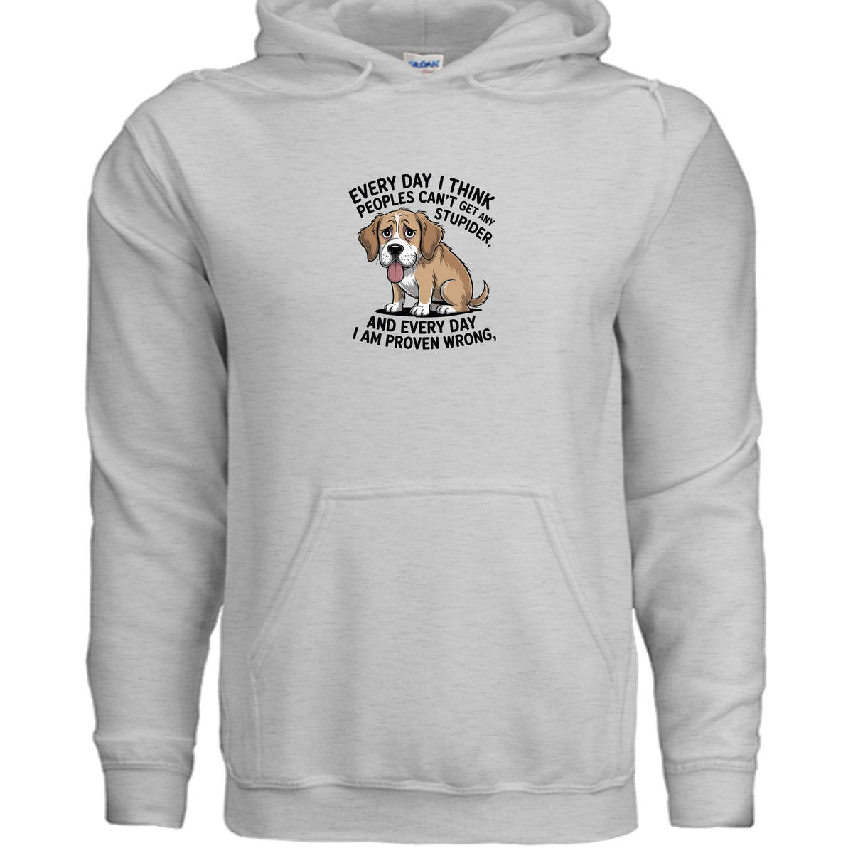 Ash Every Day I Think People Can’t Get Any Stupider Hoodie, product view